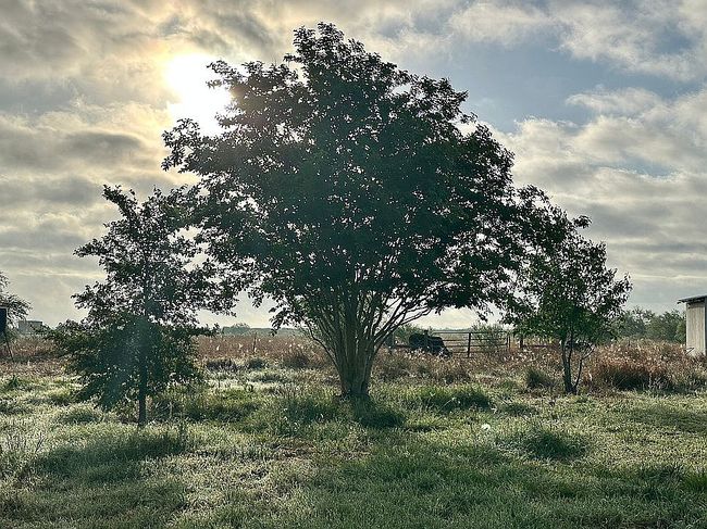 Photo of 295 Lassman Rd, Goliad, TX
