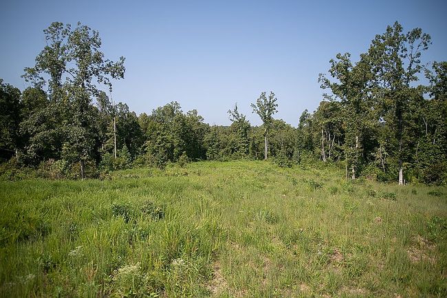 Image of 477 Telegraph Rd