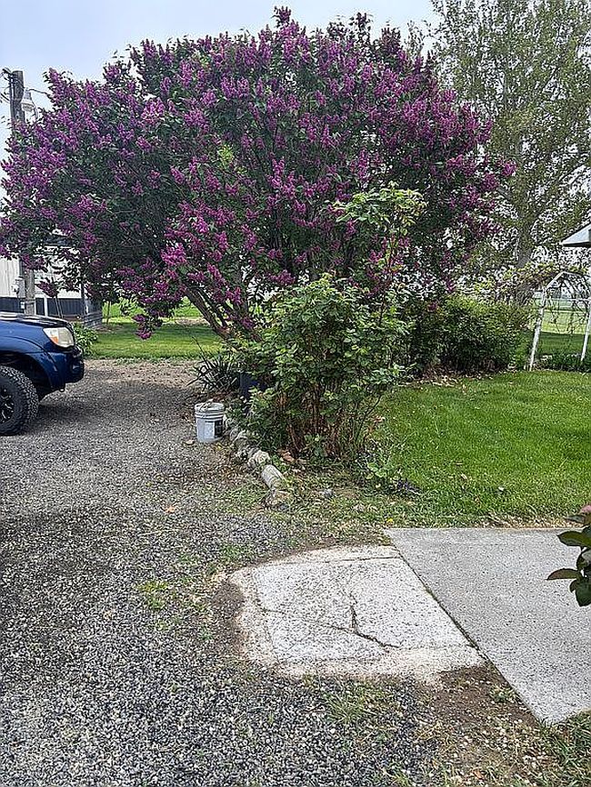 Photo of 4749 Road 12 Sw, Royal City, WA