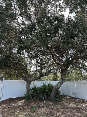 Image of 2205 Crooked Oak Ct