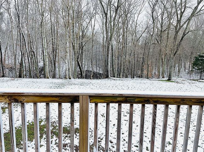 Image of 8125 Richardsville Rd