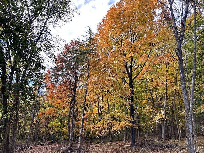 Photo of 414 County Route 25, Hudson, NY