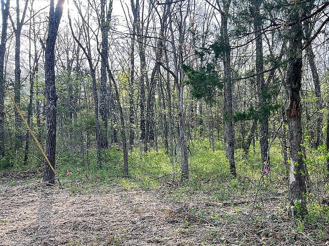 Image of 0 Tillingham Ln