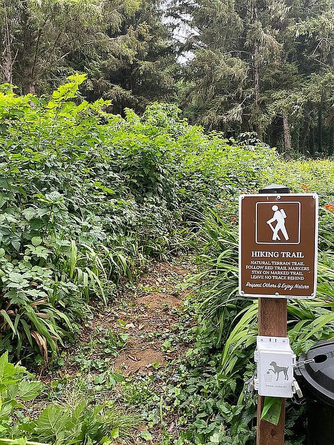 Photo of 17281 Highway 101 N, Smith River, CA