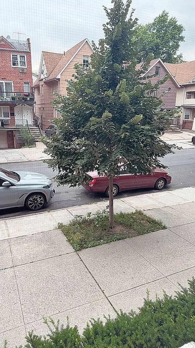 Photo of 1577 E 17th St Floor 2, Brooklyn, NY