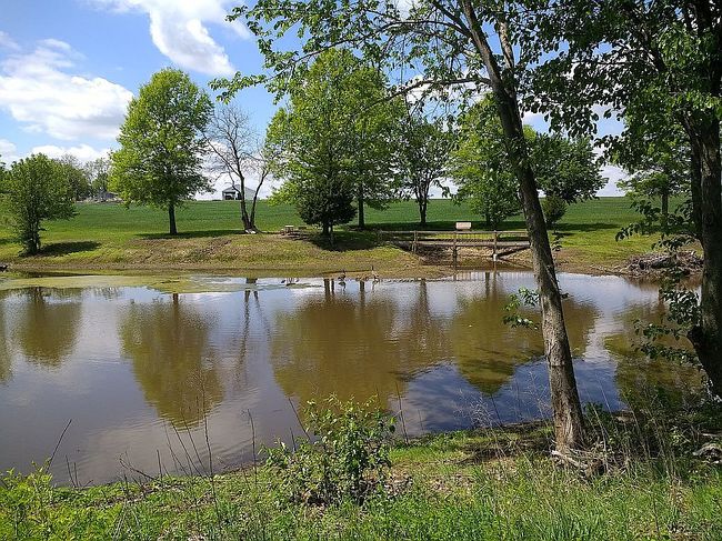 Image of 0 Ne Croco Rd Lot 3