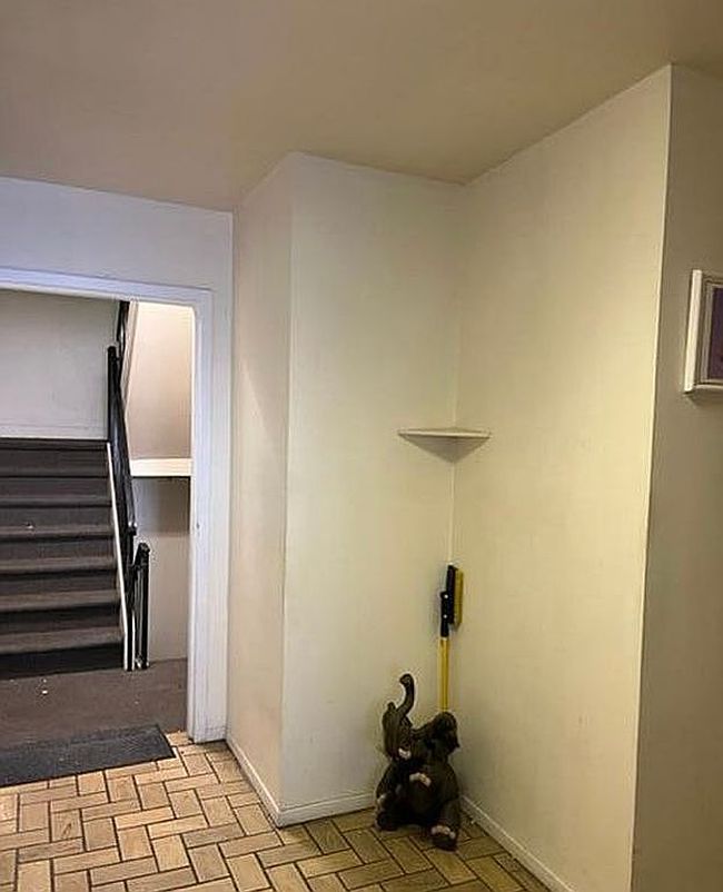 Image of 24 Racal Ct #B2
