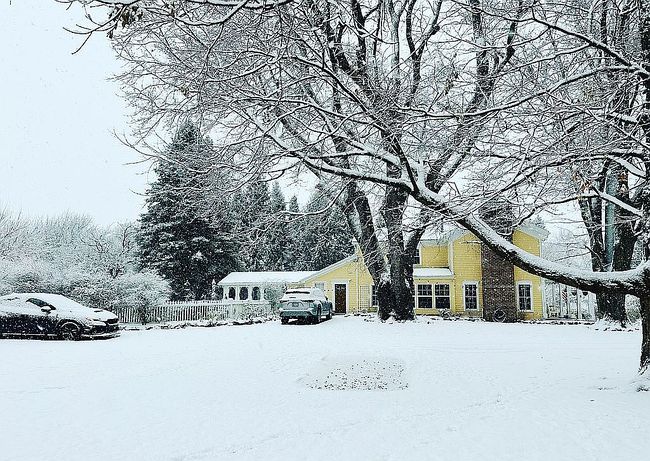 Image of 4461 County Line Rd