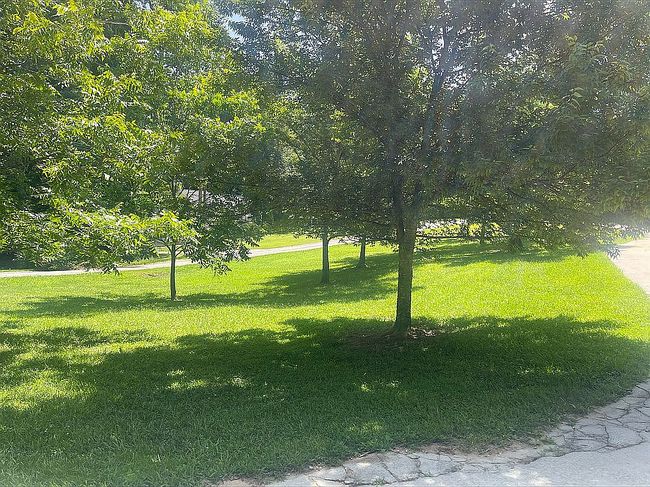 Photo of 225 Meadowcliff Trl, Carrollton, GA