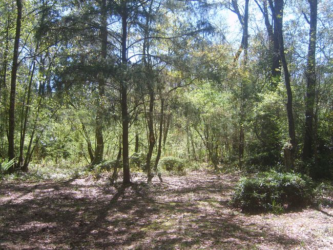 Image of 2625 Wilde Lake Blvd