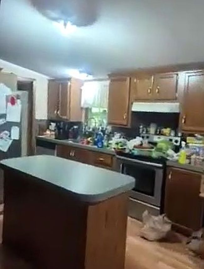 Additional photo 3 of property located at 370 Rook Hollow Rd