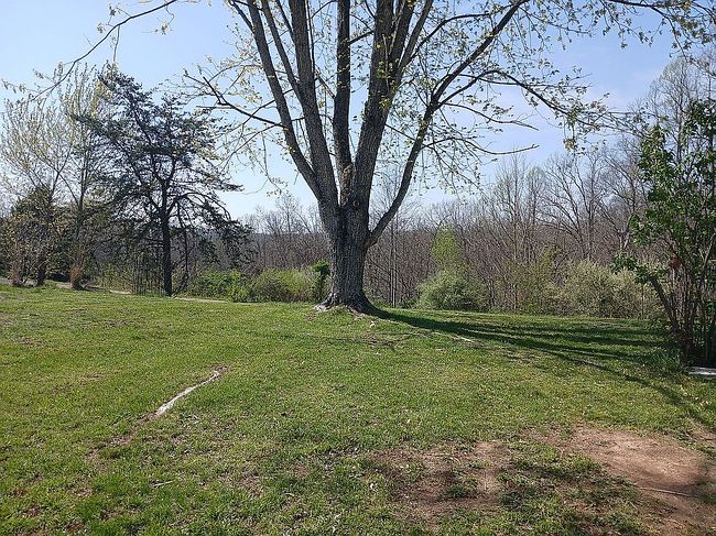 Image of 105 Knotts Run Rd
