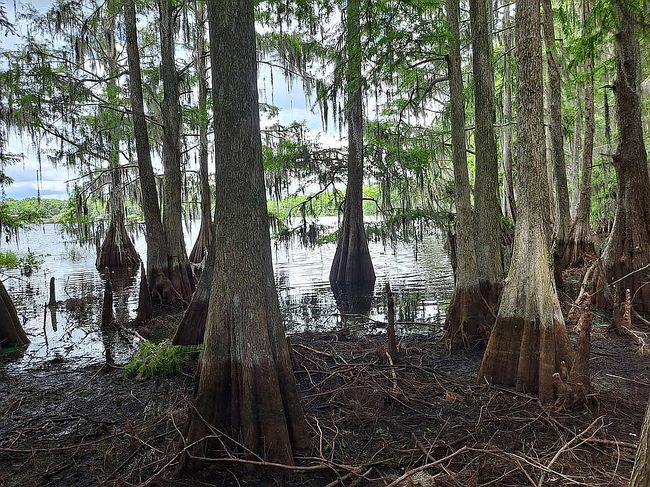 Additional photo 3 of property located at 9120 E Gobbler Dr