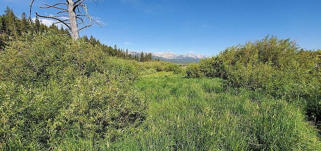 Photo of Fisher Creek Rd
