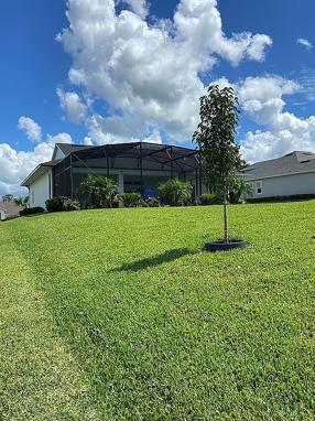 Image of 5141 Greens Dr