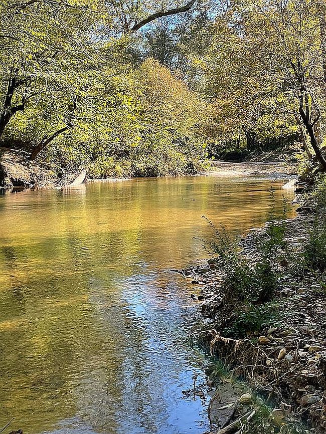 Photo of Lot-1   134 Golden Valley Church Rd, Bostic, NC