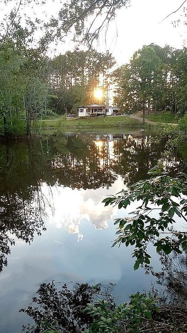 Photo of 5852 Highway 492, Union, MS