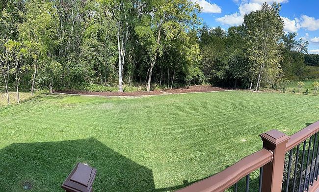 Image of 1510 Forest Ridge Dr