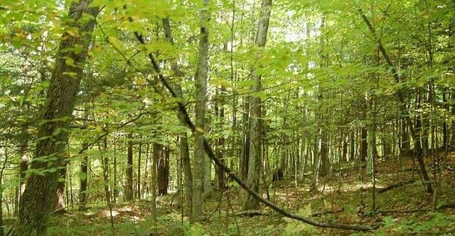 Photo of 1730 Stout Rd, Barton City, MI