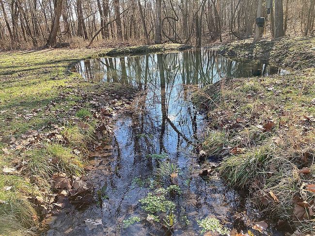 Image of 1264 Highway 126 N