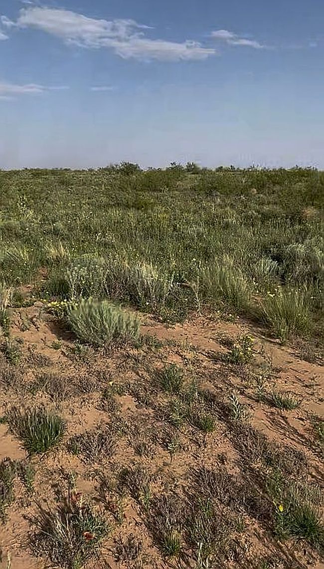 Image of 0 Us Highway 180 E Tract 4