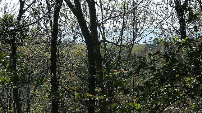 Photo of 0 Asheville, Asheville, NC