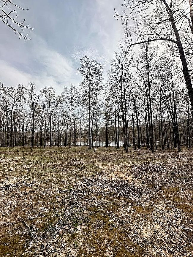 Image of 588 County Road 728