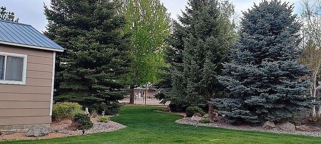 Image of 8 Goodman Ln