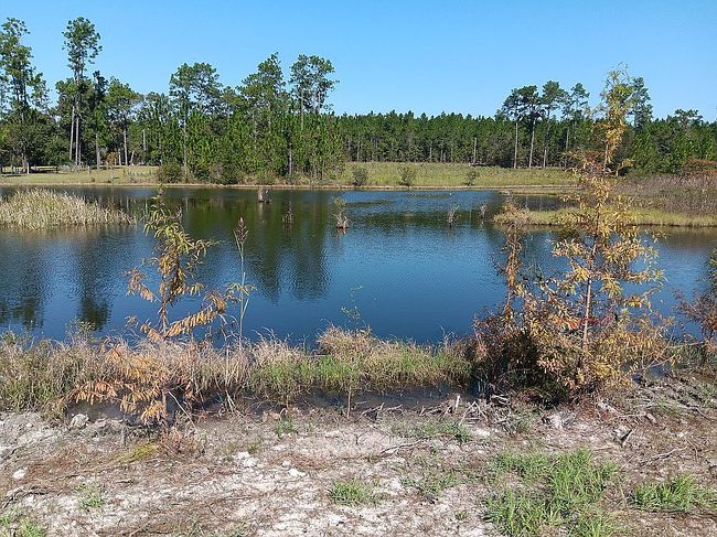 Image of 2808 Summer Cir