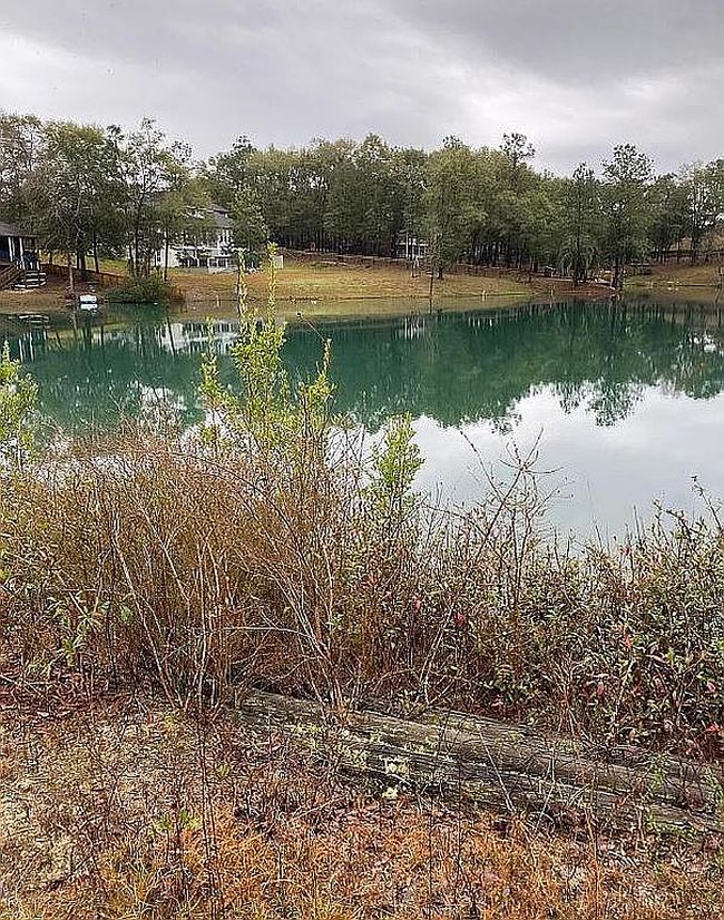 Photo of 204 Shell Dr