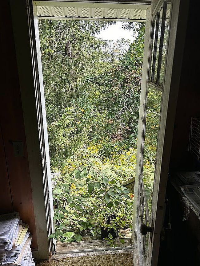 Image of 13 Imperial St