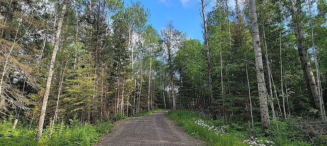 Photo of 4873 North Rd, Grand Marais, MN
