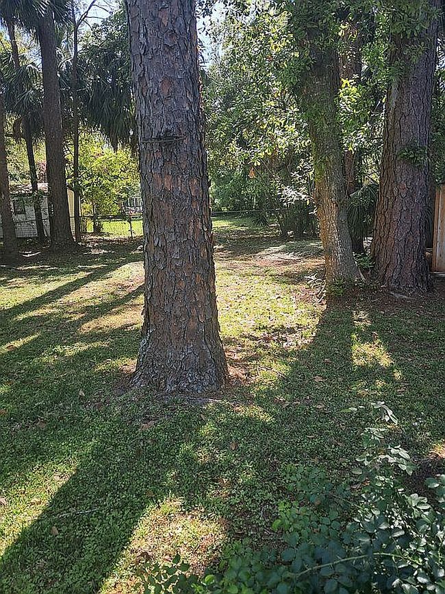Image of 194 King Cotton Rd