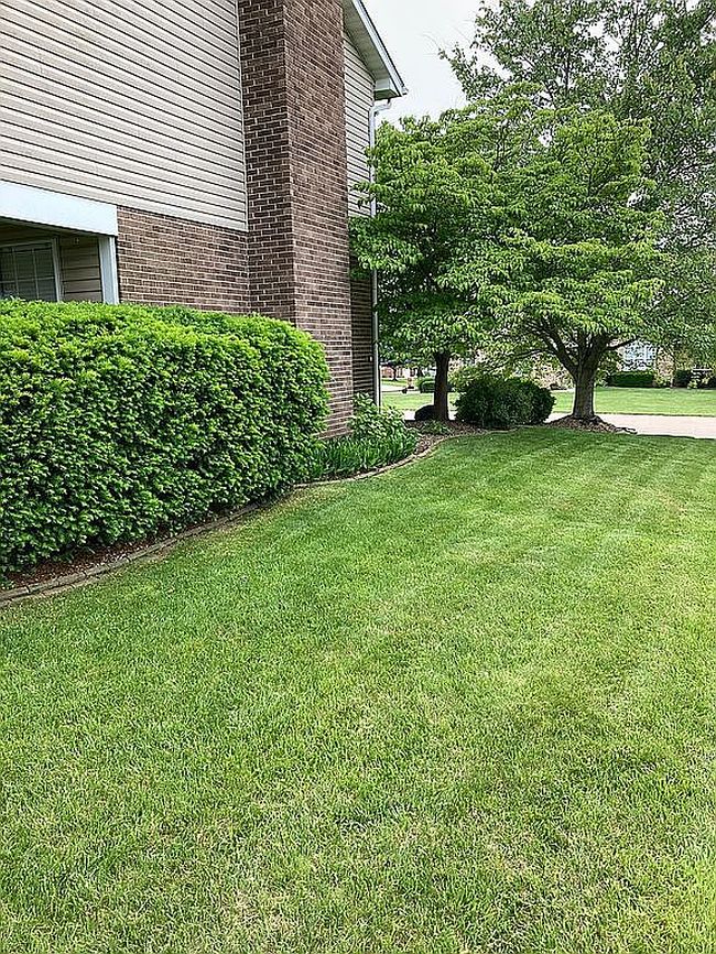 Image of 916 James St