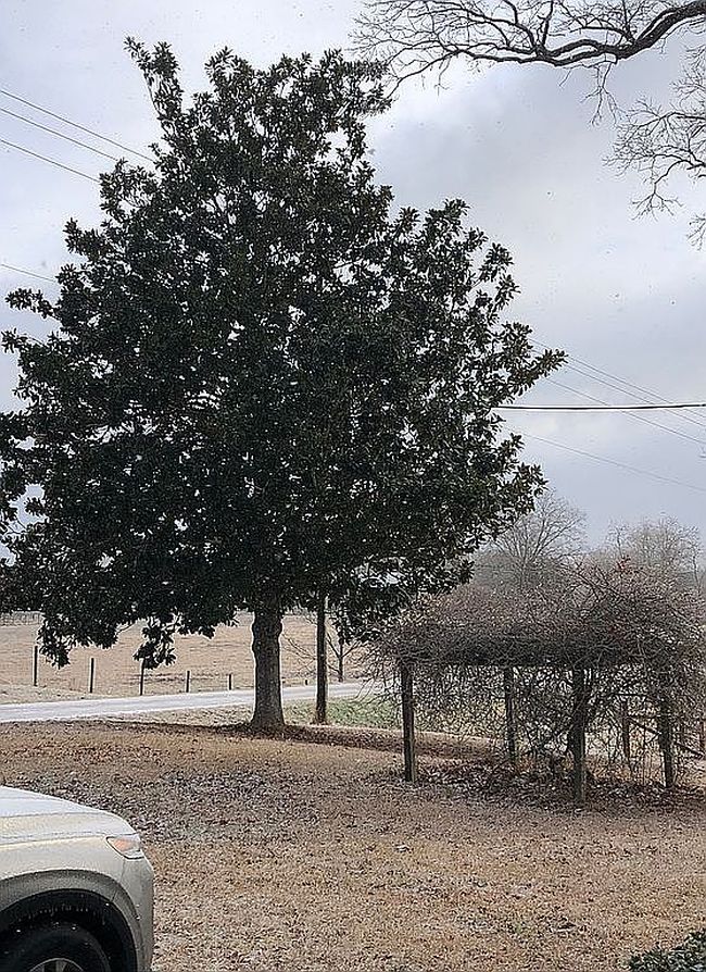 Image of 17431 Highway 61