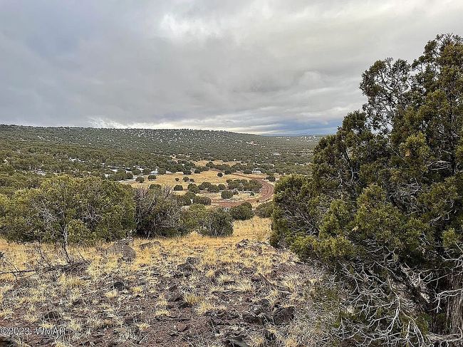 Image of 41 County Road 8296
