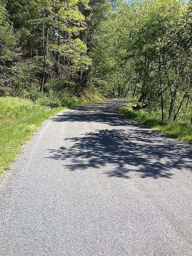 Image of 1248 Coffeytown Rd