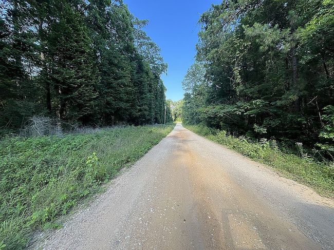 Photo of Swick Trl, Livingston, TX