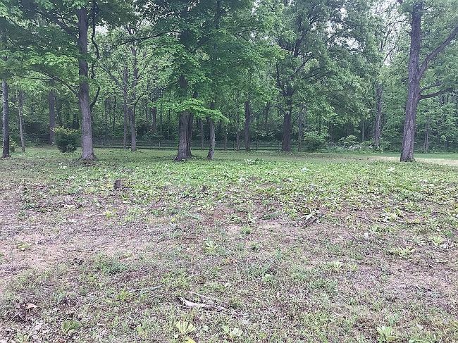 Image of 1482 Valley View Dr