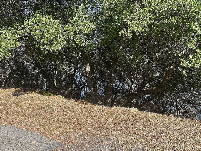 Photo of 10858 Northslope Dr, Kelseyville, CA