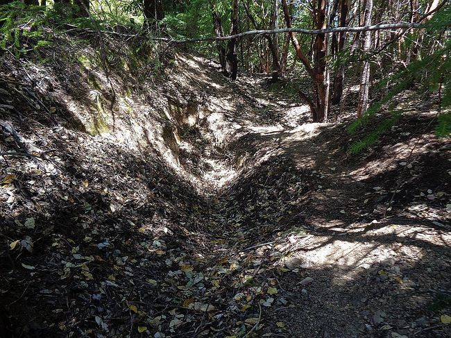 Image of 863 Toth Rd