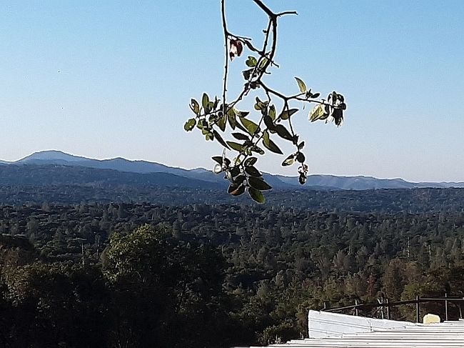 Photo of 5643 Carleton Rd, Mariposa, CA