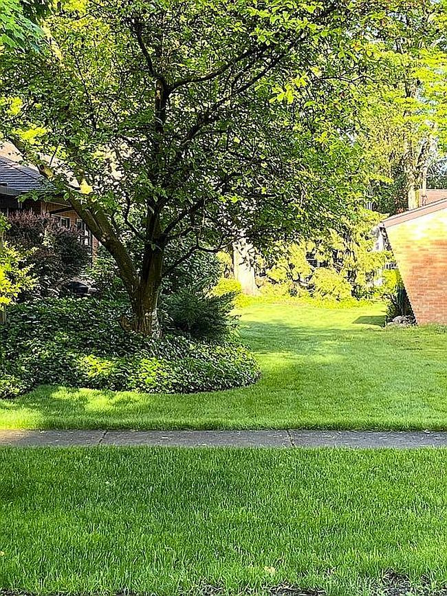 Image of 8252 Metropolitan Blvd