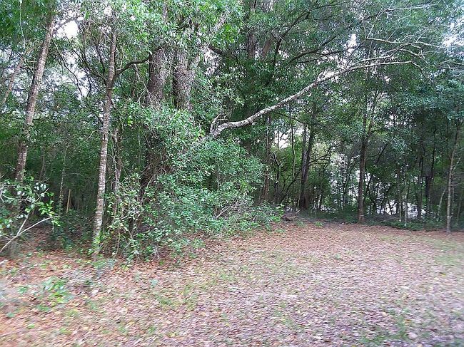 Photo of 3252 E Dove Ct, Inverness, FL