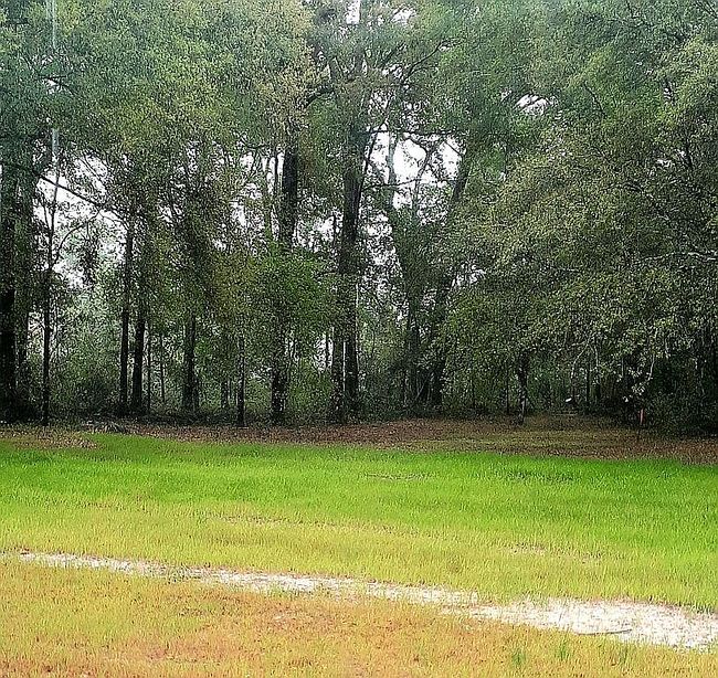 Photo of 9118 Maryann Dr, Fanning Springs, FL