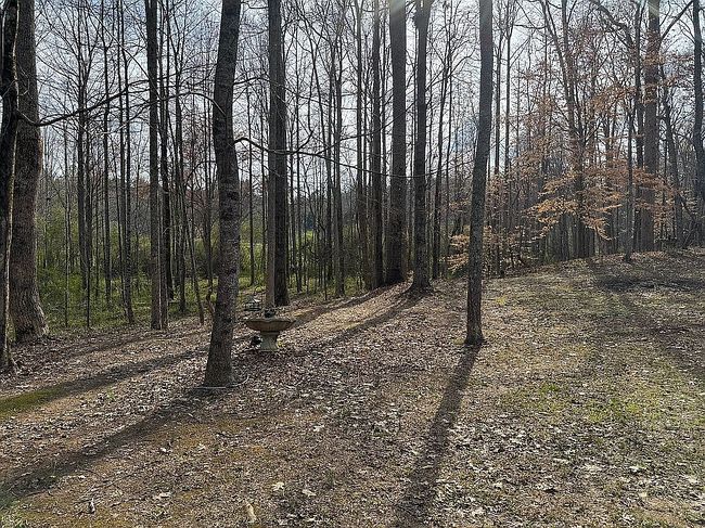 Image of 105 Brookhollow Way