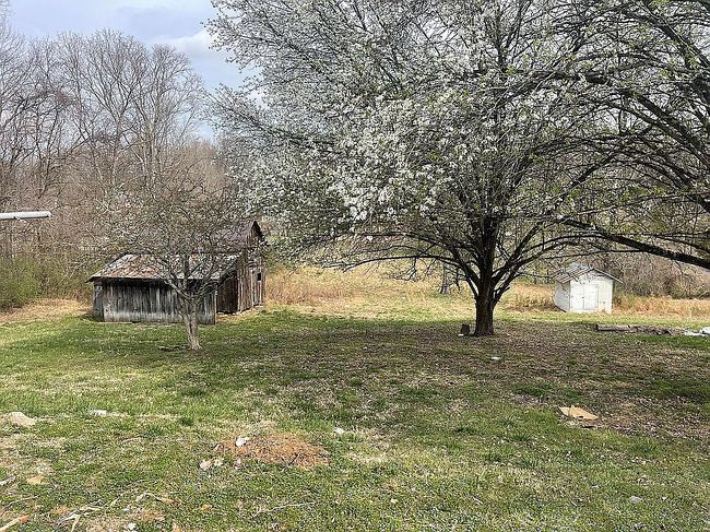 Photo of 773 Old Lebanon Dirt Rd, Hermitage, TN