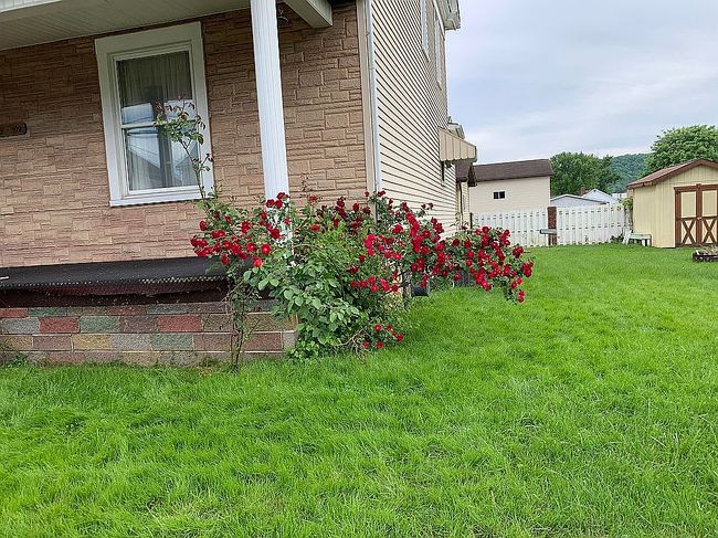 Image of 1819 4th St