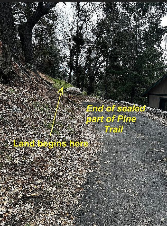 Image of Pine Trail Strawberry Ldg