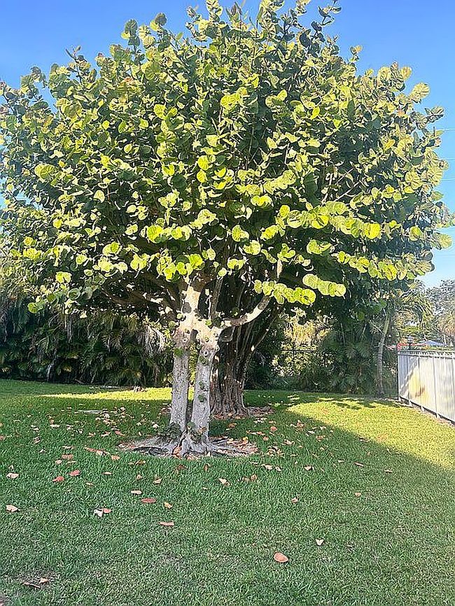 Photo of 12386 Highway A1A Alternate #N7, Palm Beach Gardens, FL